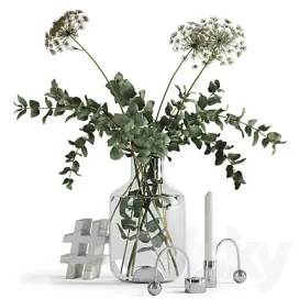 Eucalyptus anna s lace with decor